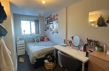 Treherbert Street, Cathays, Cardiff - Image 3