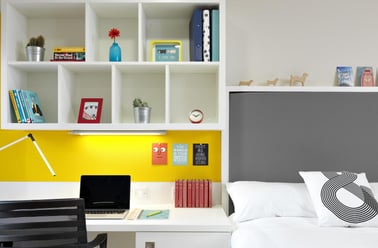 Raven Studio (City View)