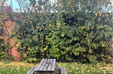 West Parade, West End, Lincoln - Image 3