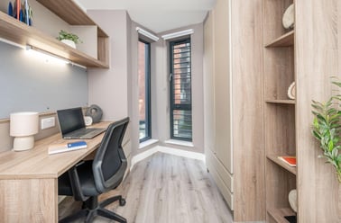 Deluxe Ensuite, Howard Gardens, Adamsdown, Cardiff - Image 3