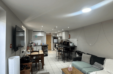 Merthyr Street, Cathays, Cardiff - Image 2