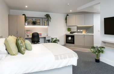 true Sky Superior Studio, true Sheffield, 12 Tenter Street, City Centre, Sheffield - Image 3