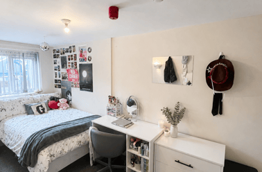 Treherbert Street, Cathays, Cardiff - Image 3