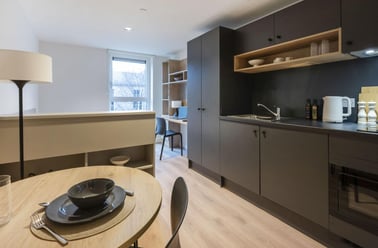 Large Classic Studio, Straits Place, East Newington Place, City Centre, Edinburgh - Image 3