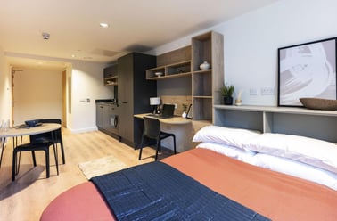 Large Premium Studio, Straits Place, East Newington Place, City Centre, Edinburgh - Image 3