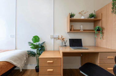 Bronze Non Ensuite, Garth Heads, Off Melbourne Street, City Centre, Newcastle - Image 2