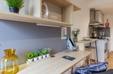Classic Studio (14.9m2), Straits Village, 123 Huntingdon Street, The Old Meadows, Nottingham - Image 3