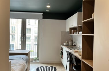 Gold Studio, The Keel Houses, 8 Lower Gilmore Place, Fountainbridge, Edinburgh - Image 2