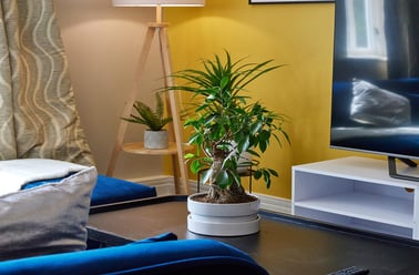 Sandyford Road, Sandyford, Newcastle - Image 3