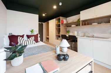 Gold Studio, The Keel Houses, 8 Lower Gilmore Place, Fountainbridge, Edinburgh - Image 2