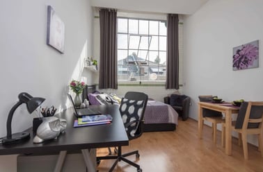 Gold Studio, Smart Student Accommodation, 3-5 Thane Villas, Holloway, London - Image 3