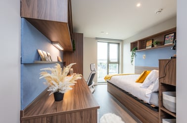 En-suite Gold, Nelson Place, 8 Nelson Street, Belfast Metropolitan College, Belfast - Image 2