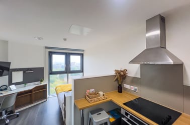 Studio Bronze, Dobbie’s Point, North Hanover Street, City Centre, Glasgow - Image 3