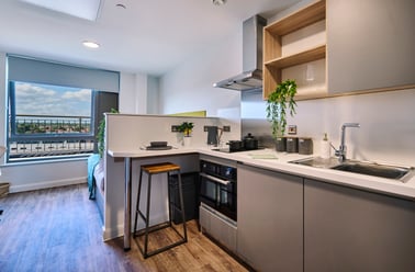 Studio Gold Plus, Deakins Place, 4 Deakins Place, Lenton Radford, Nottingham - Image 2