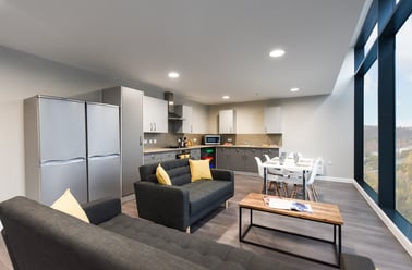 Ensuite Bronze, St Davids, Morfa Road, City Centre, Swansea - Image 2