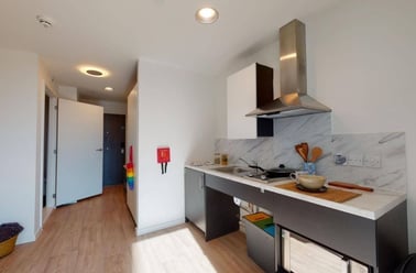 DDA Large Single Studio, Eleanor Rosa House, Stratford High Street, Stratford, London - Image 2