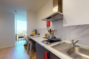 Single Studio, Eleanor Rosa House, Stratford High Street, Stratford, London - Image 3