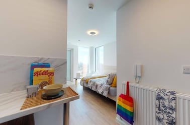 Single Studio Plus, Eleanor Rosa House, Stratford High Street, Stratford, London - Image 3