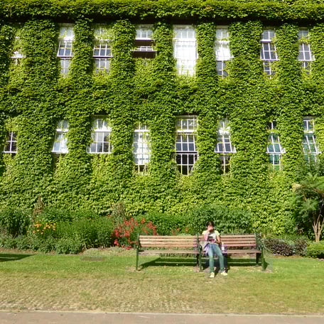 Regent's University London