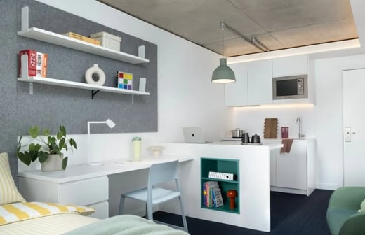 Large Plus Studio