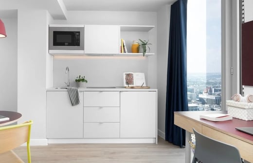 Large Plus Studio