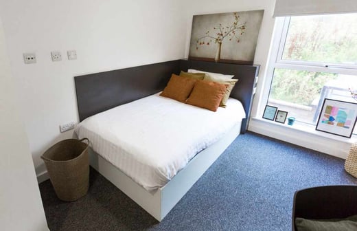 Premium Studio Accessible