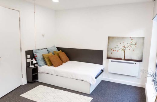 Large Premium Studio Accessible