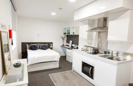 Large Premium Studio