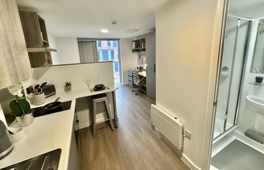 Extra Large Studio