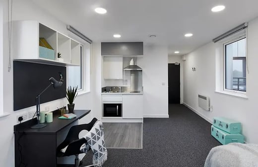 Extra Large Premium Studio
