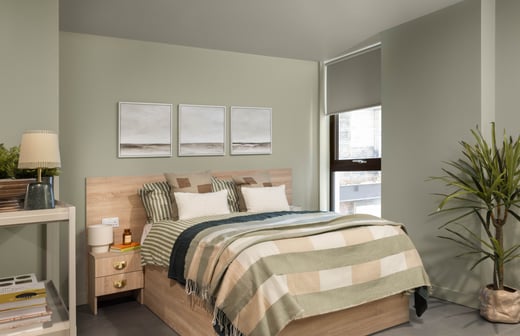 Roomy 1 Plus