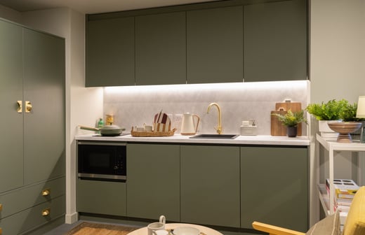 Roomy 4 Plus