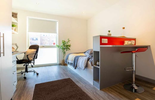 Deluxe Plus Studio