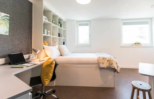 Gold Studio Accessible