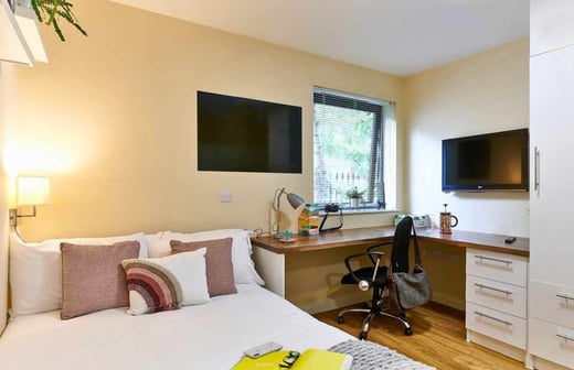 Studio Deluxe