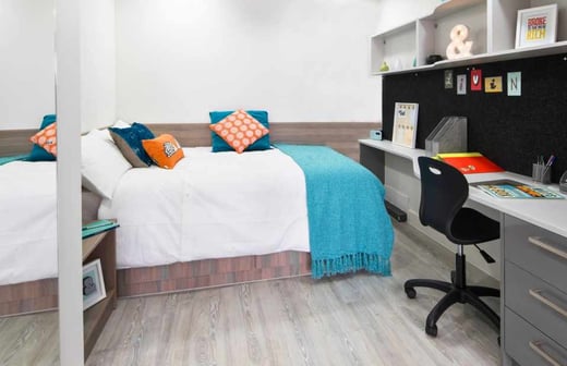 Premium Plus Studio