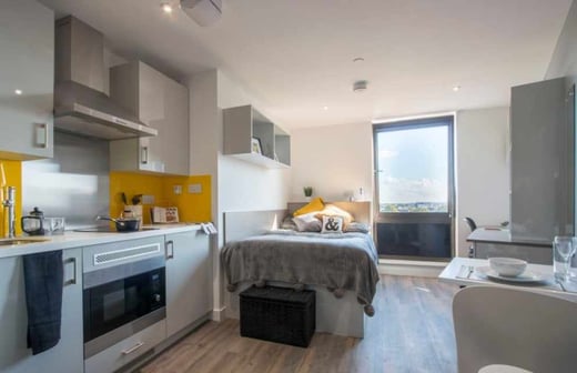 Premium Gold Studio