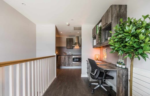 1 bed Penthouse