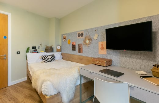 Extra Large Studio