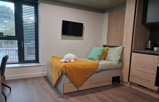 Extra Large Studio Accessible