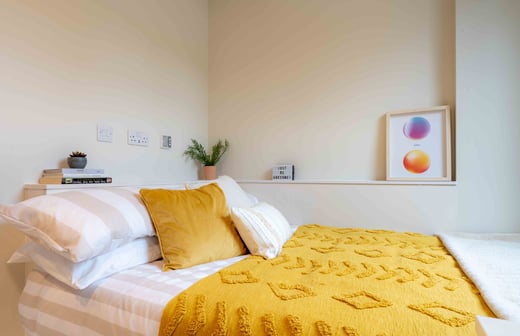 Gold Studio Plus