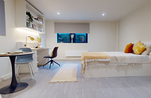 Platinum Studio Plus
