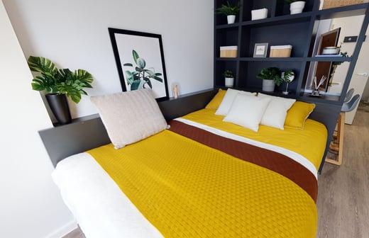 Gold Studio Plus