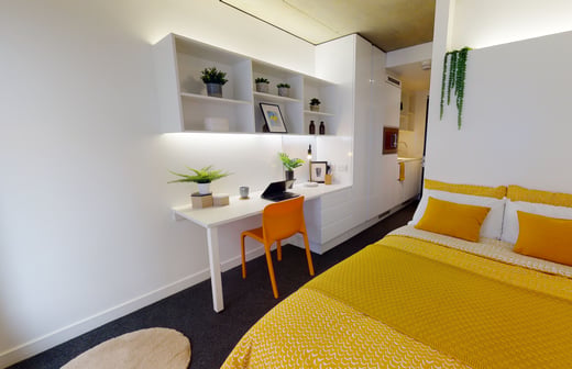 Bronze Studio Plus