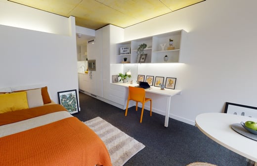 Gold Studio Plus