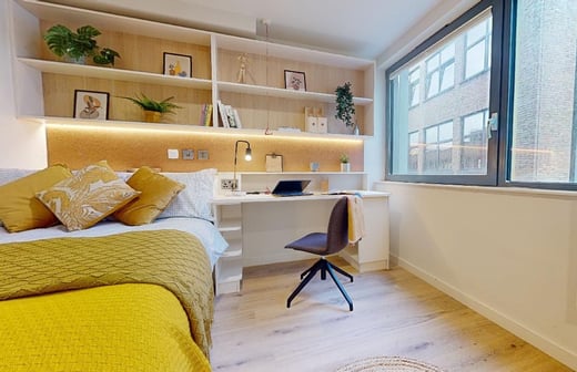 Gold Studio Plus