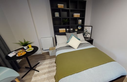 Platinum Studio Plus