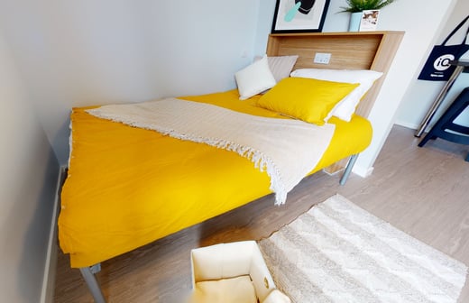 Gold Studio Plus