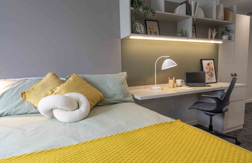 Bronze Studio Premium