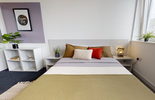 Bronze Studio Plus